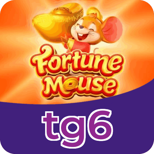 Dicas para ganhar na tg6